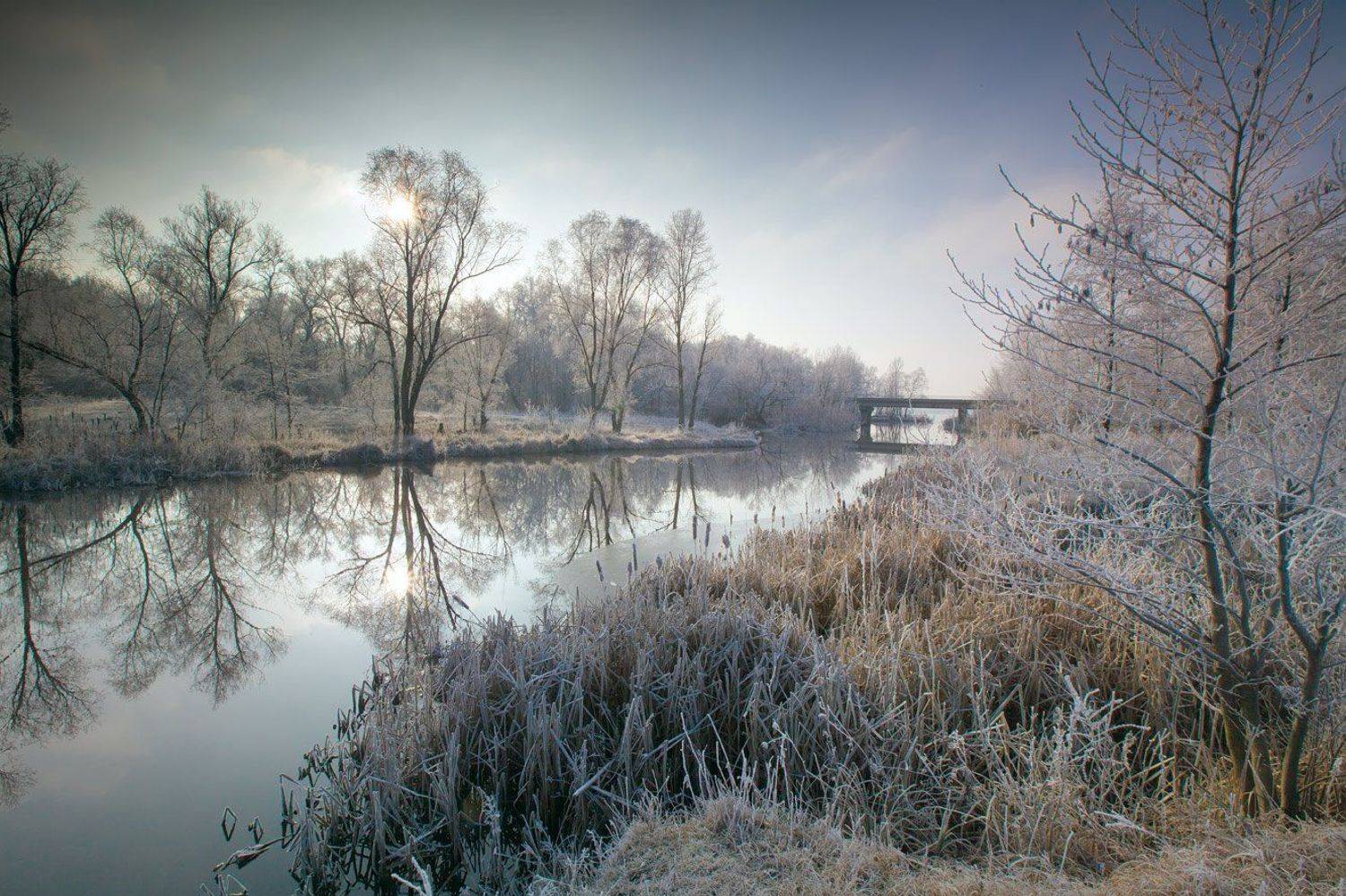 , Петр Антонович