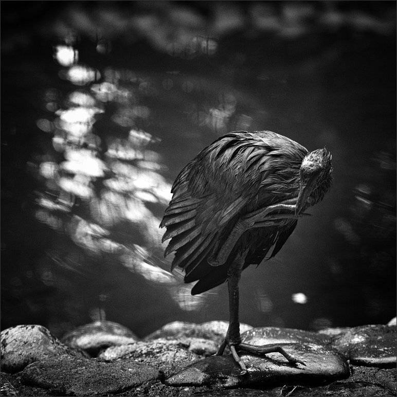 , Сергей Фудиненко