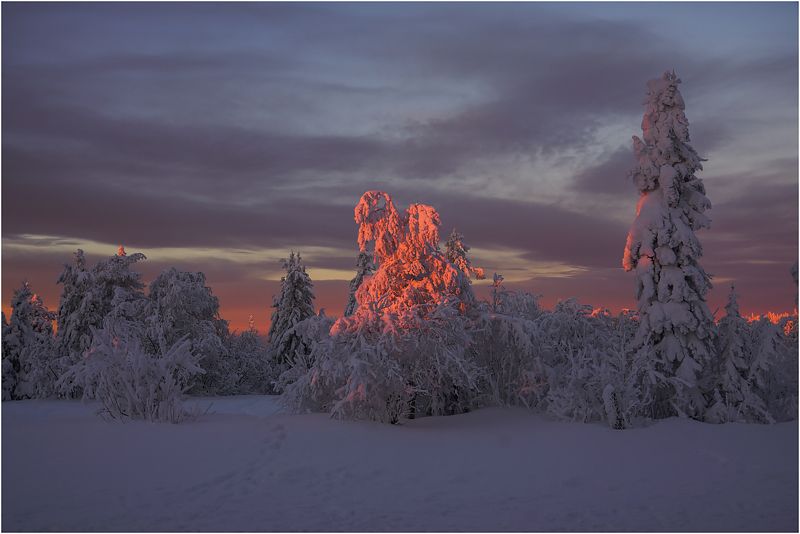 Смеркалось... фото превью