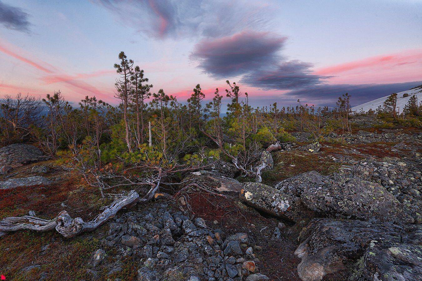 , Осипов Ёжъ Александр