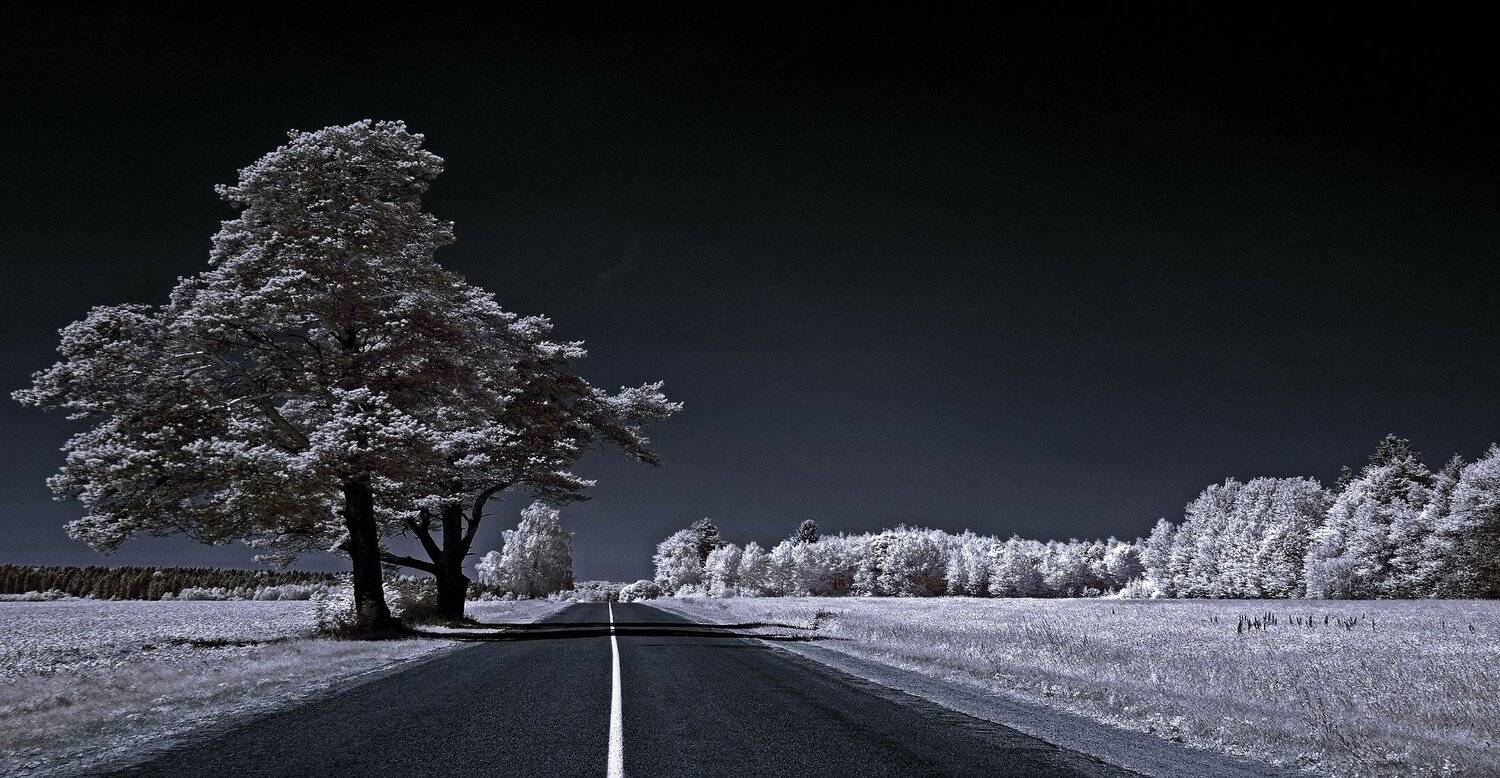 infrared,ик-фото,инфракрасное фото,инфракрасная фотография,пейзаж,природа,беларусь,лето, Sixten ( Сергей )