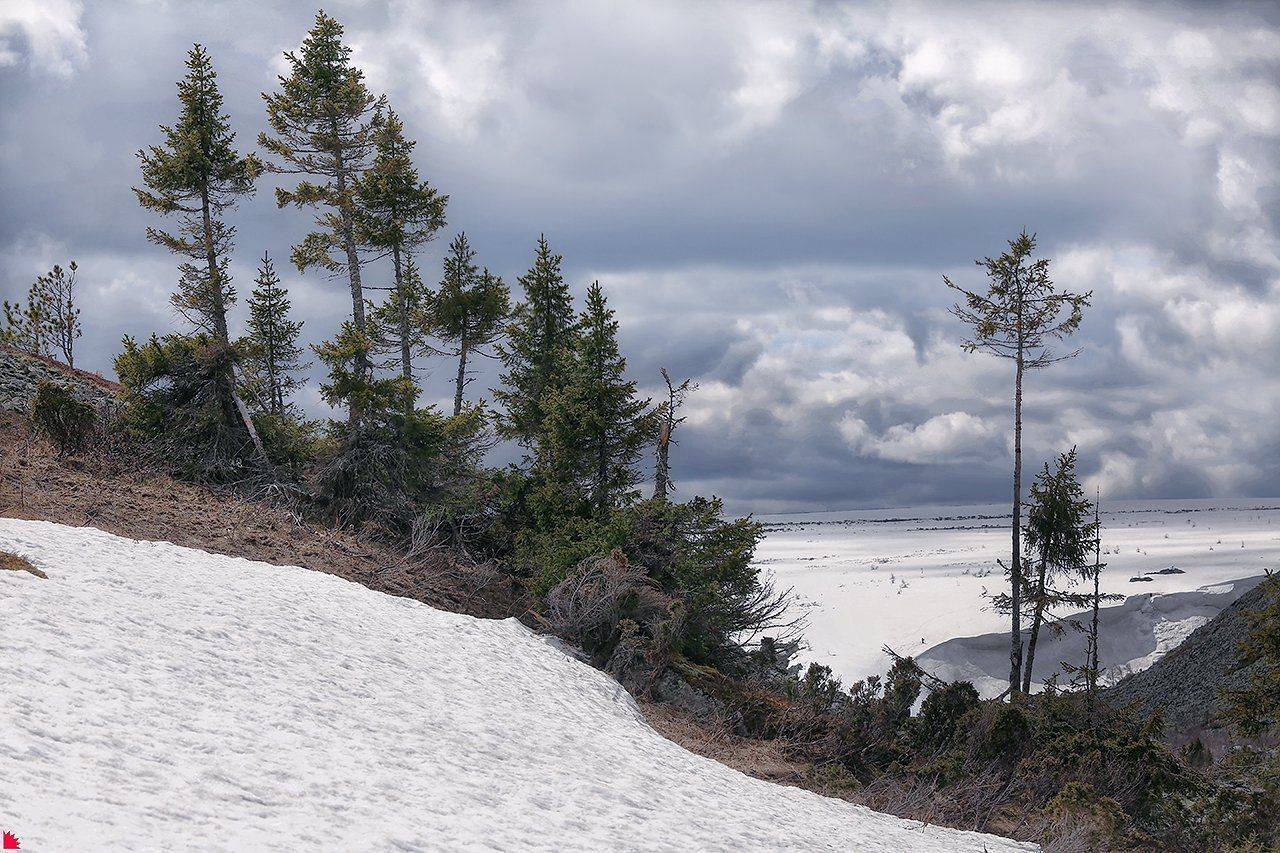 , Осипов Ёжъ Александр