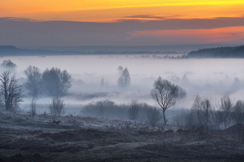 ... фото превью