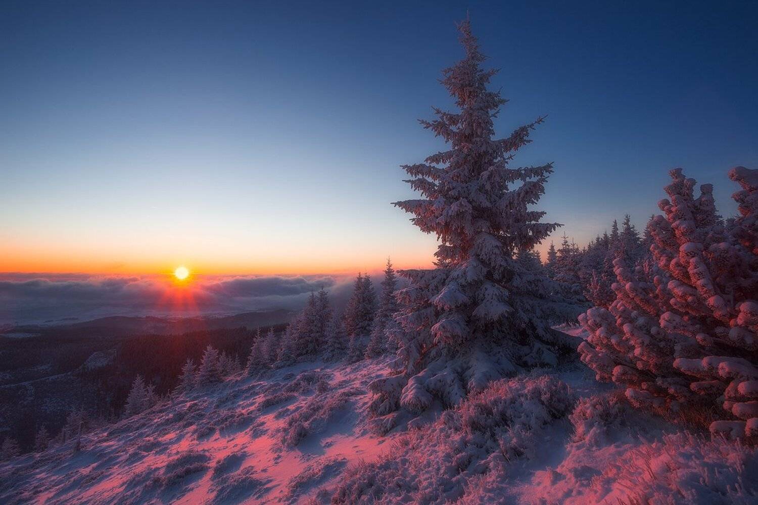 landscape,canon,winter, Iza i Darek Mitręga