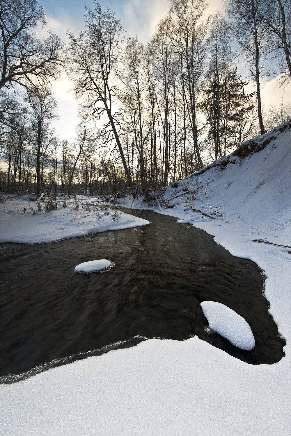 , Виталий Стрельцов