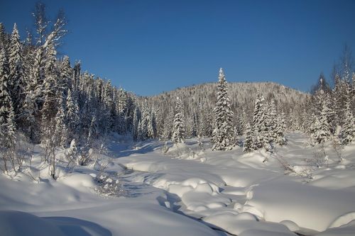 Река Амзас. Кузнецкий Алатау