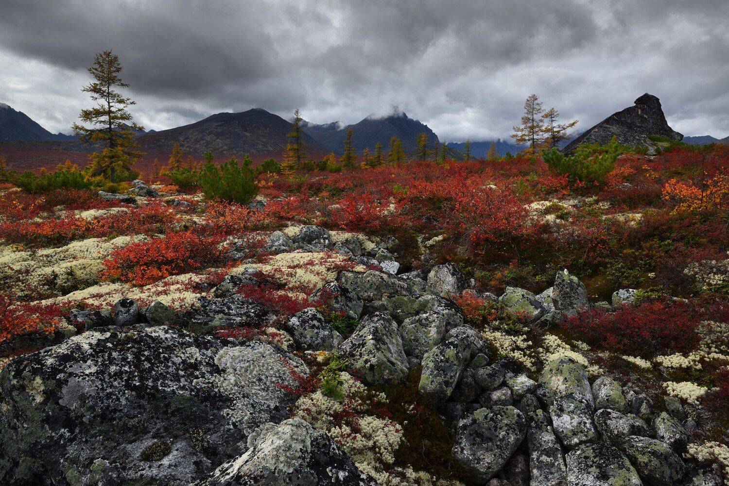 Краски Колымской осени.... Автор: Максим Евдокимов (phototourtravel.ru) , Максим Евдокимов (phototourtravel.ru)