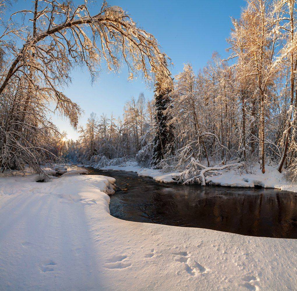 линдуловская роща, природный заказник, ленинградская область, река рощинка, панорама, Арсений Кашкаров