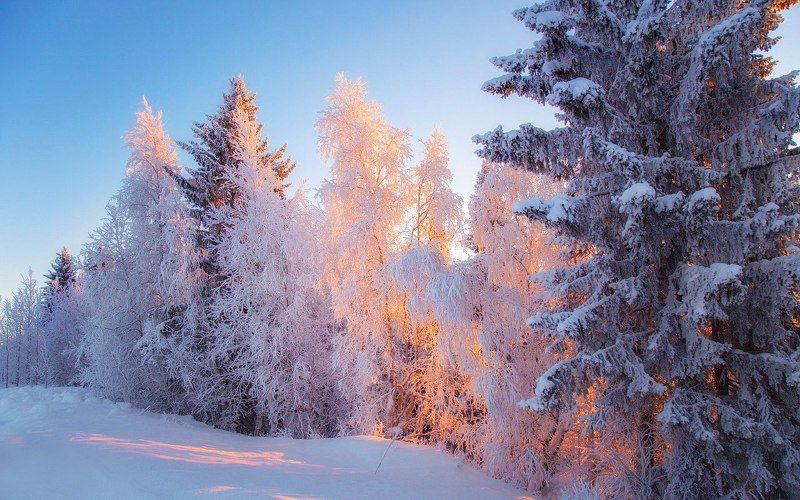 восход,пейзаж,север,коми,печора,зима,мороз Восход фото превью