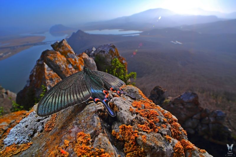 фото превью