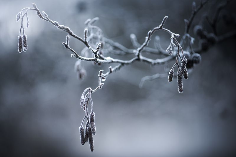 ...тишина фото превью