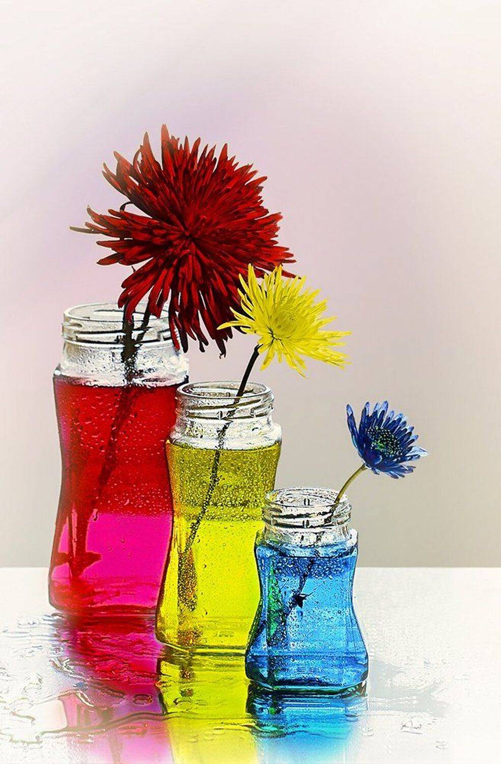 , MVO (Марк Орлов)