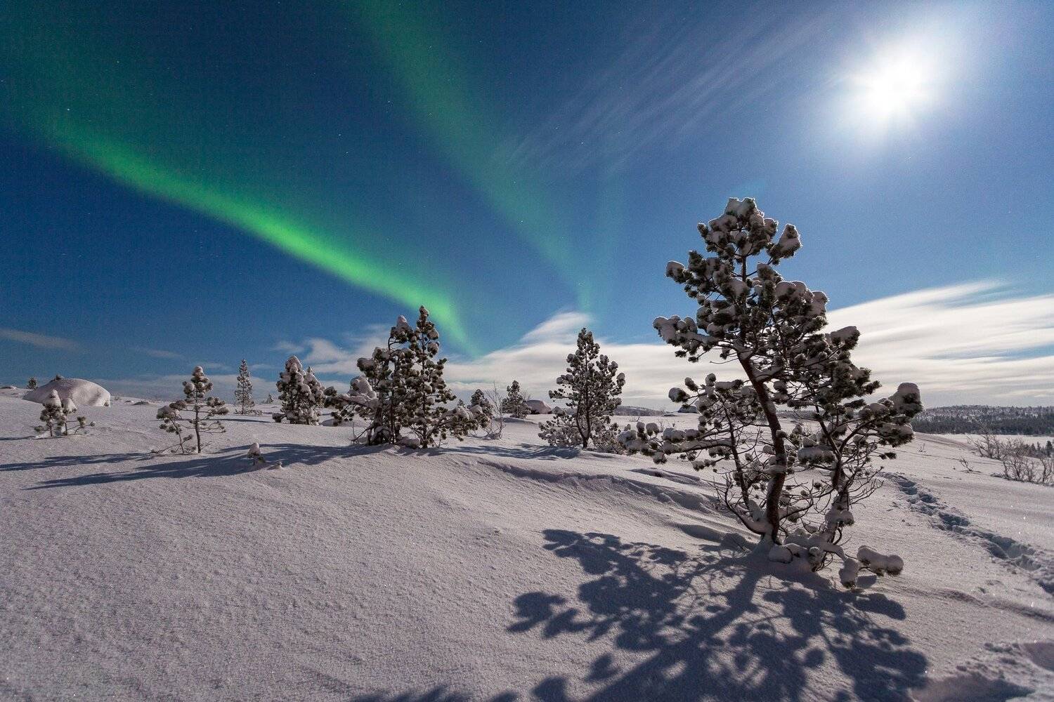 сияние полнолуние, Daemus