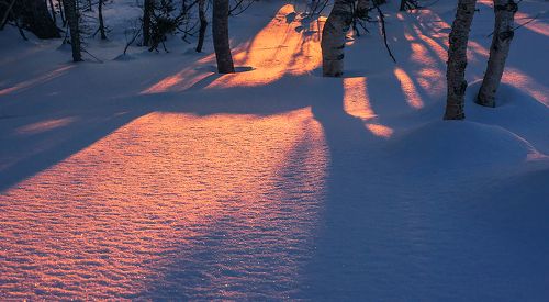 Прогулка на рассвете