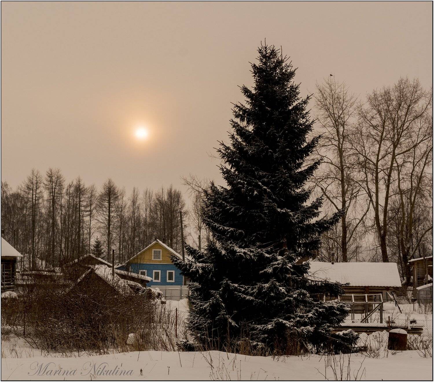 солнце, Марина Никулина