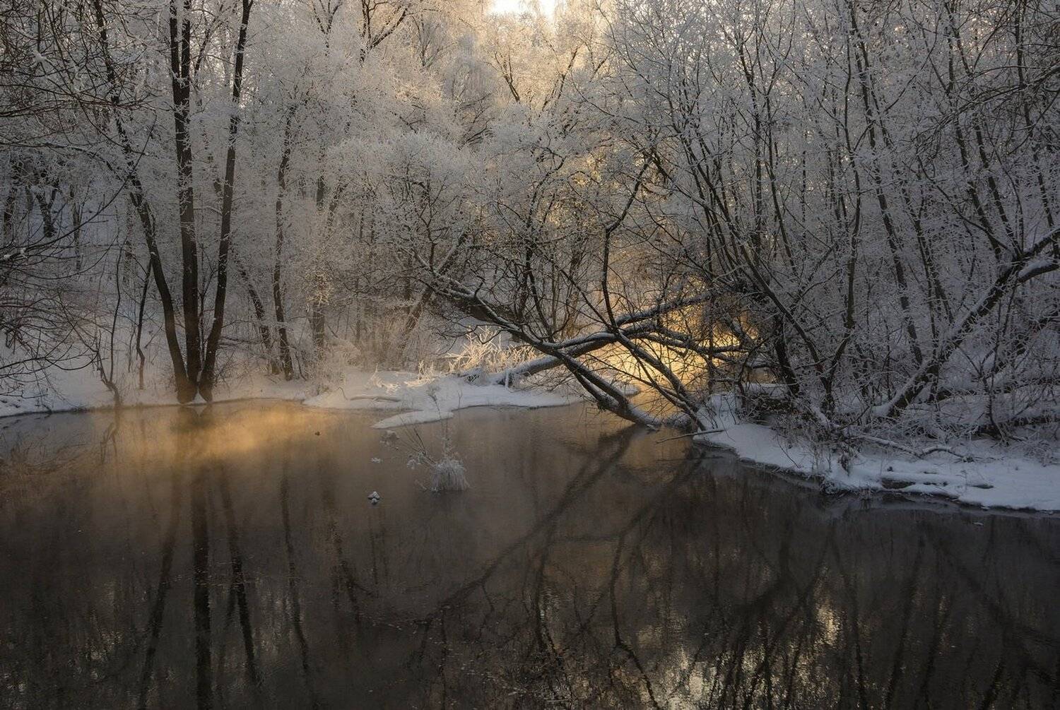 , Руслан Сигушин