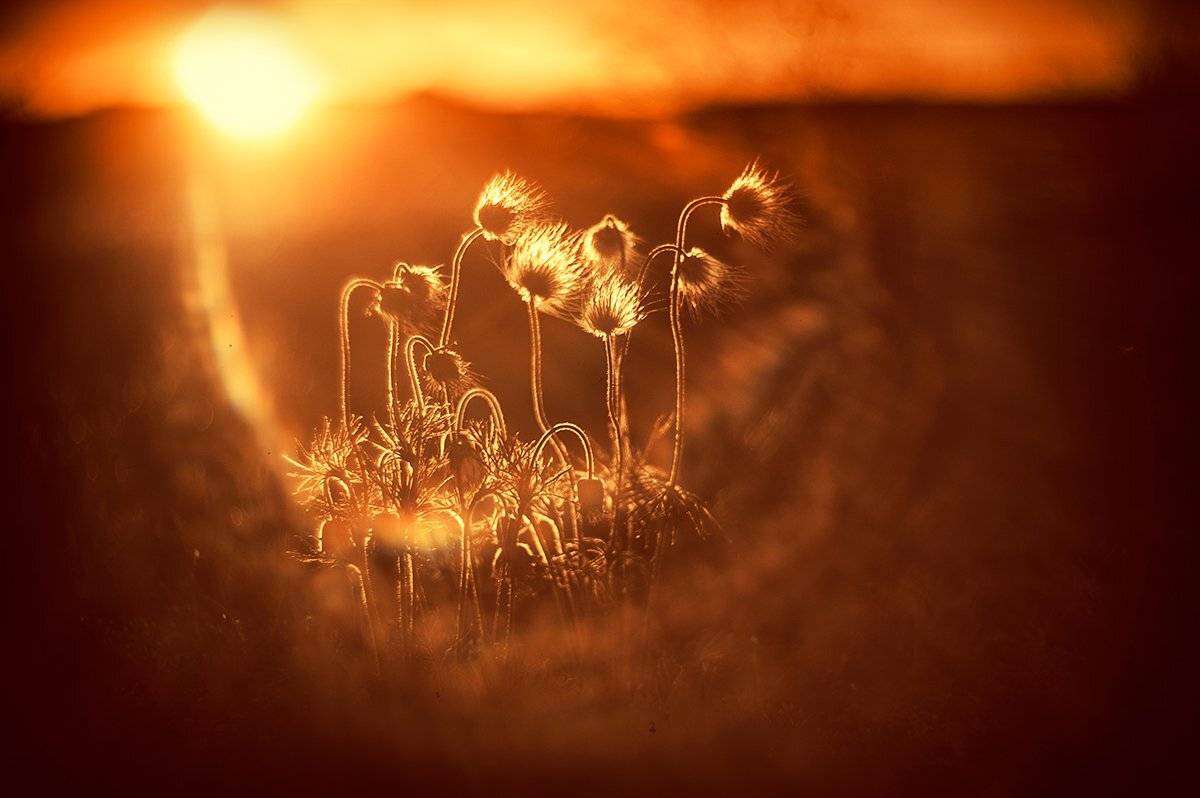 , Татьяна Аверина