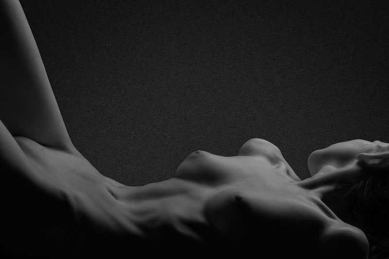 Body Line фото превью