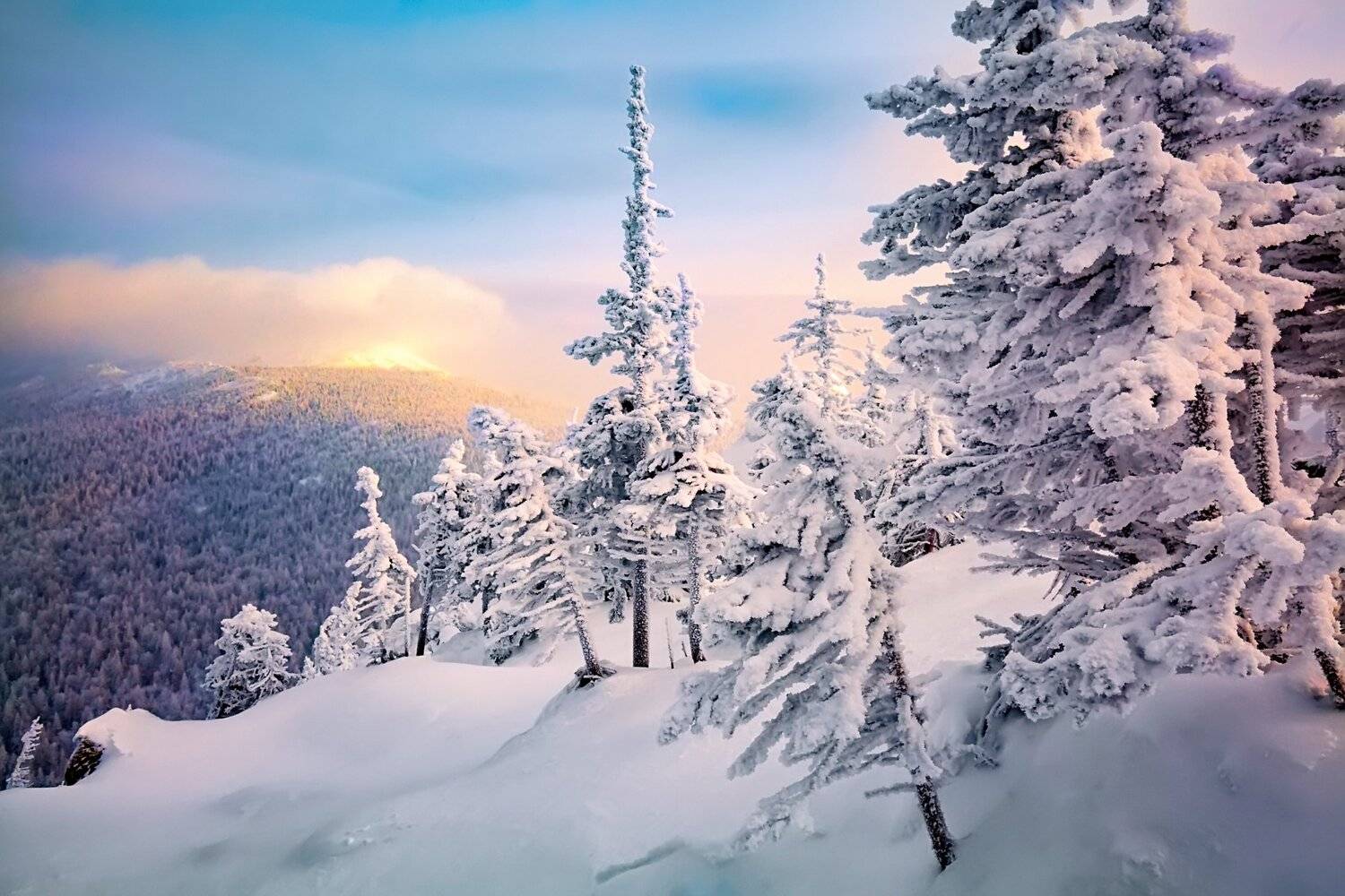 , Сергей Евдокимов