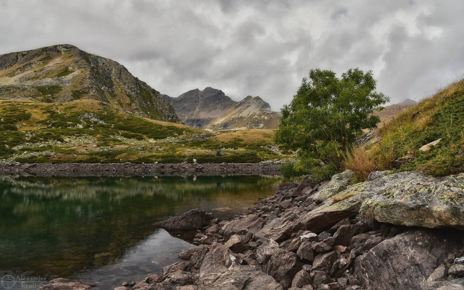 , Александр Круль