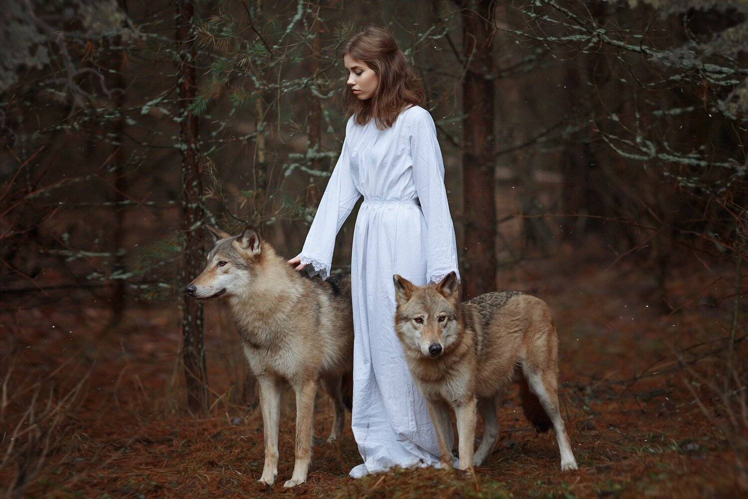 волки, Светлана Никотина