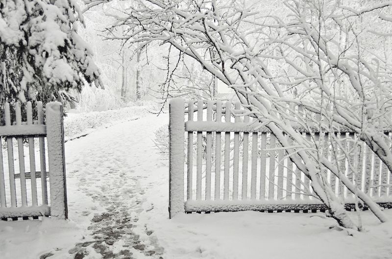 *** фото превью