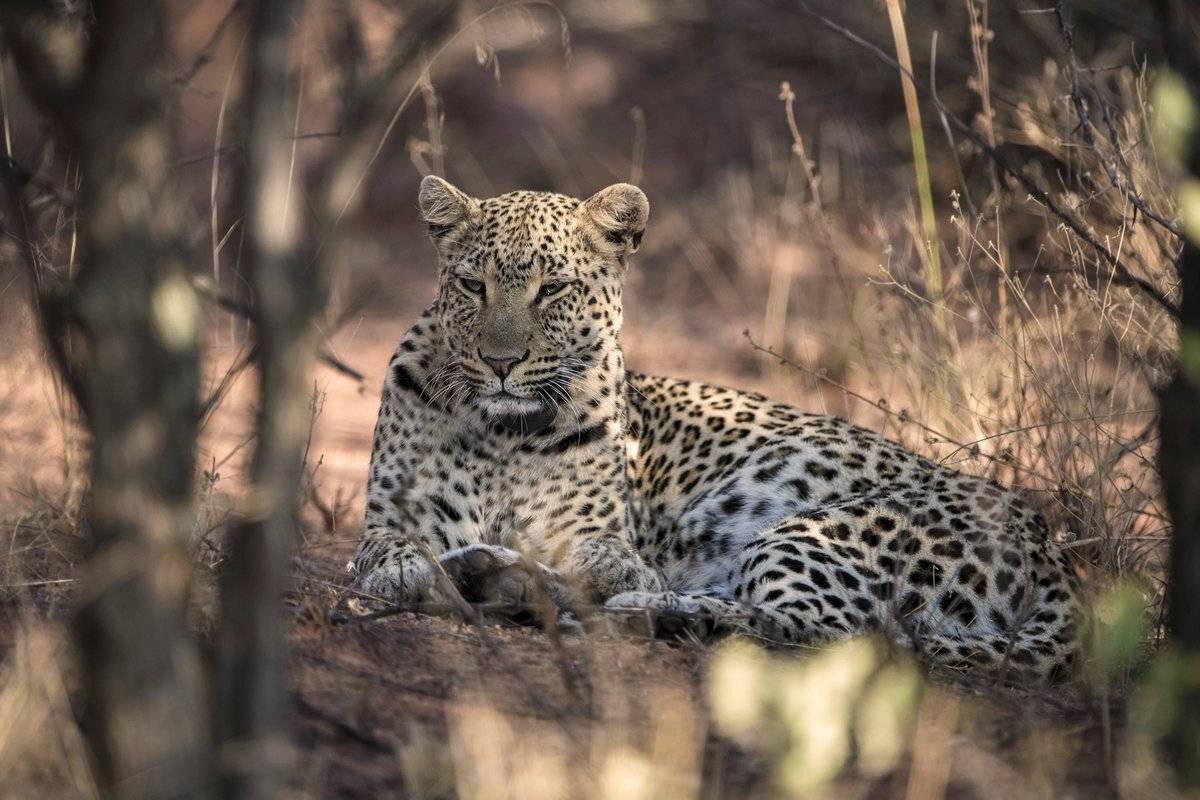 отдых, Александр Маркелов