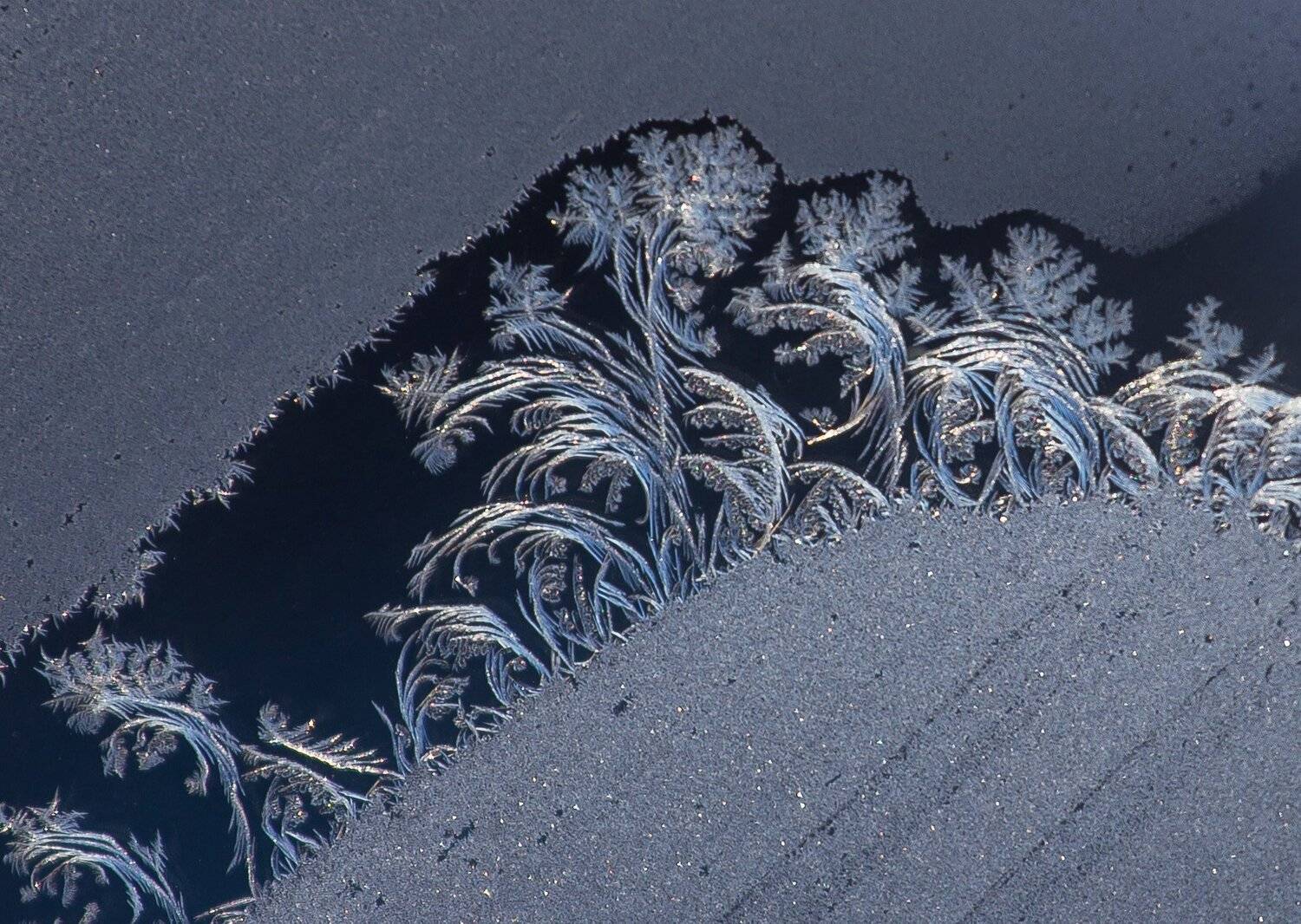 , Павел Сагайдак