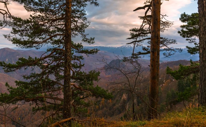 *** фото превью