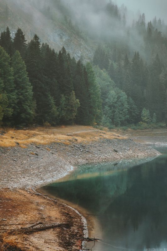 пейзаж, национальный парк, черногория, природа, ландшафт Дурмитор и туман фото превью
