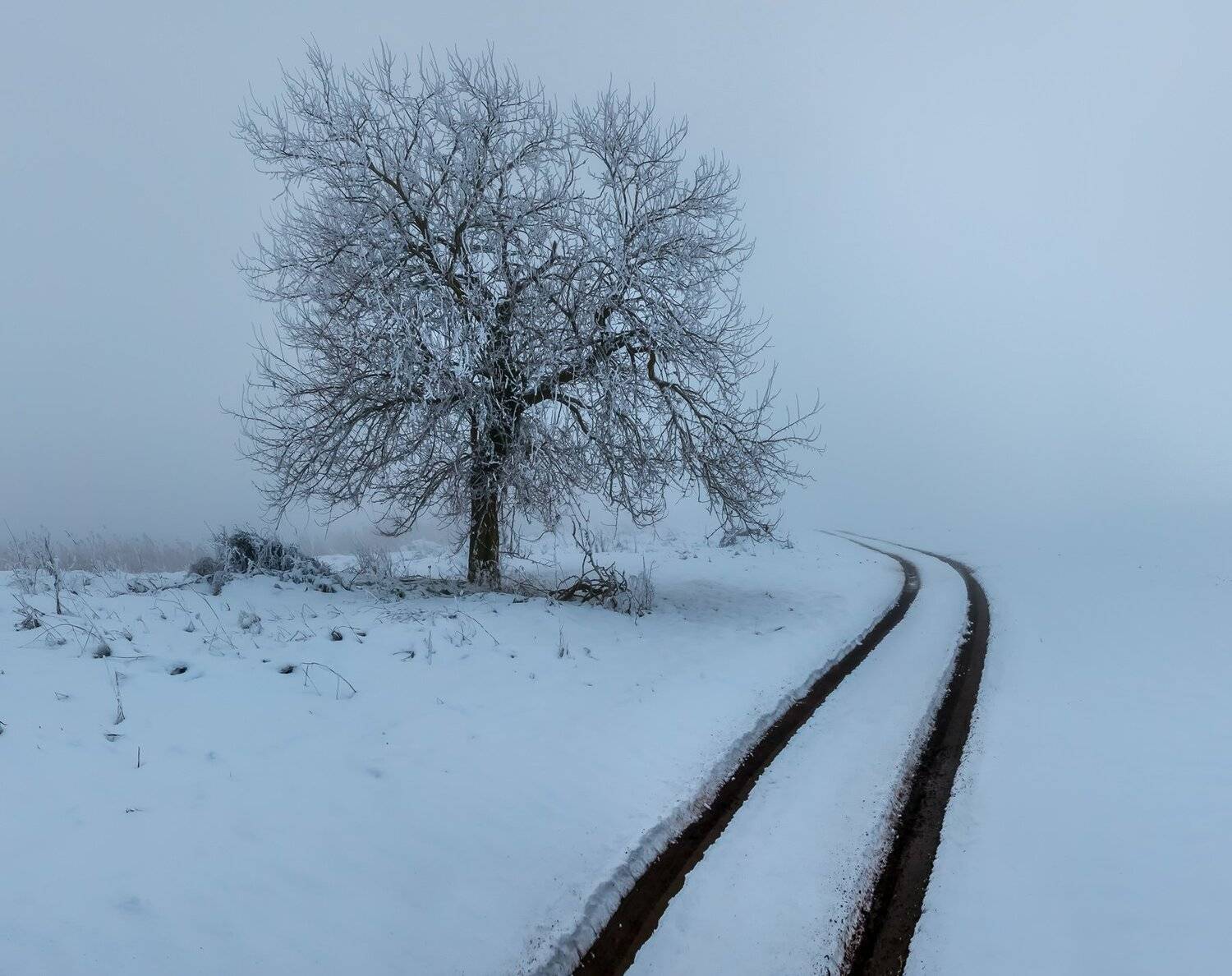 ставропольский край, зима, снег, путешествие, фотоальбом, ставрополье, фотопроект, степь, туман, дерево, дорога, иней,, Лашков Фёдор