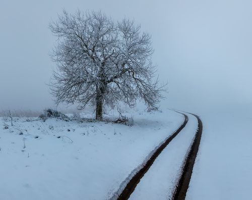 Снежная графика