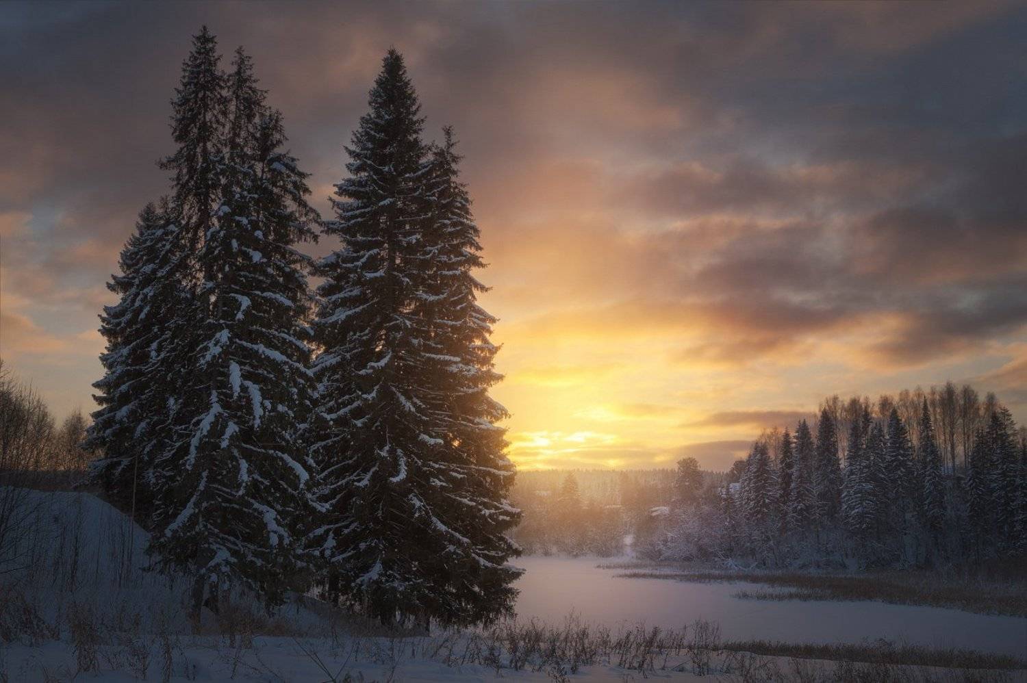 зима, закат, лес, парк, вечер, мороз, пруд, Смольский Евгений