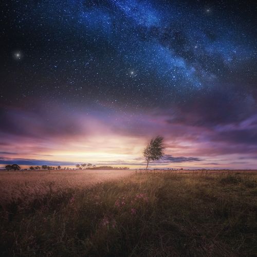 Distant meadows and fields