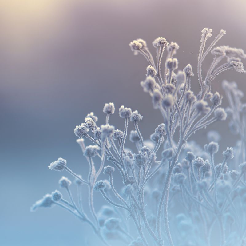 ...хрупкость фото превью