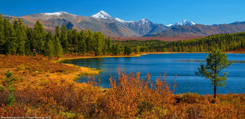 алтай, сибирь, кеделю, озеро Кеделю фото превью