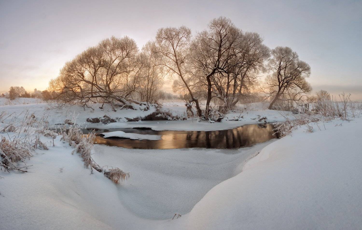 , Николай Андреев