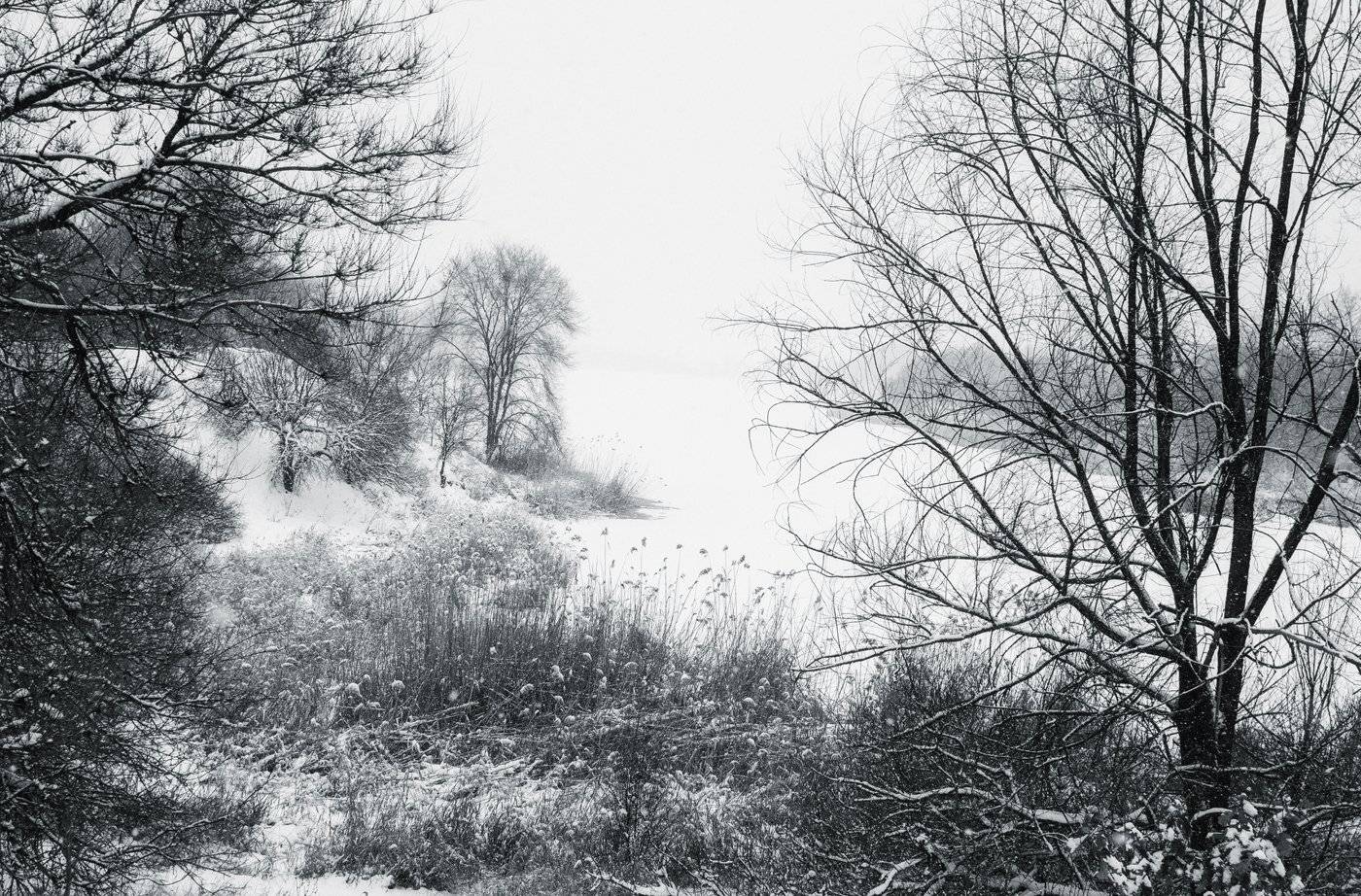 , Игорь Мелекесцев