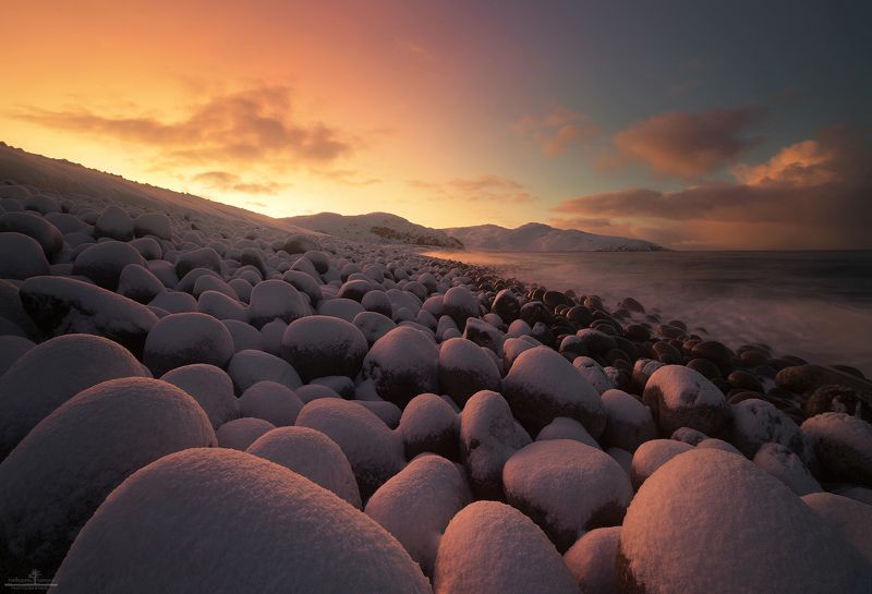 териберка Яйца дракона фото превью
