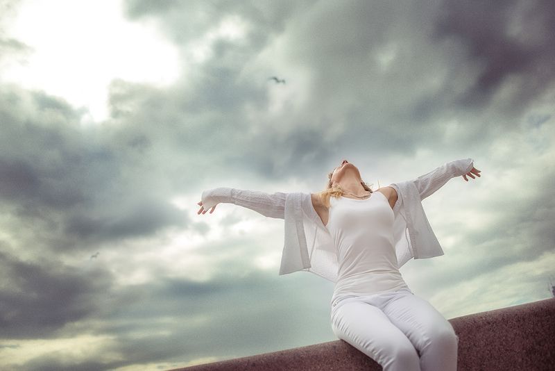 чайка,жанровый портрет чайка фото превью