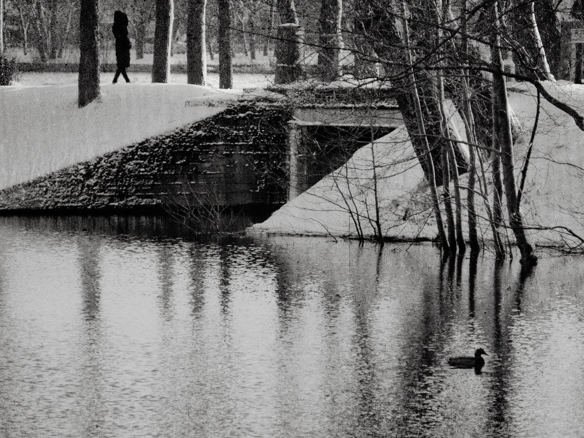 , Штабнов Юрий