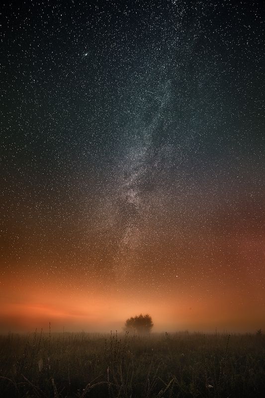 Genesis фото превью