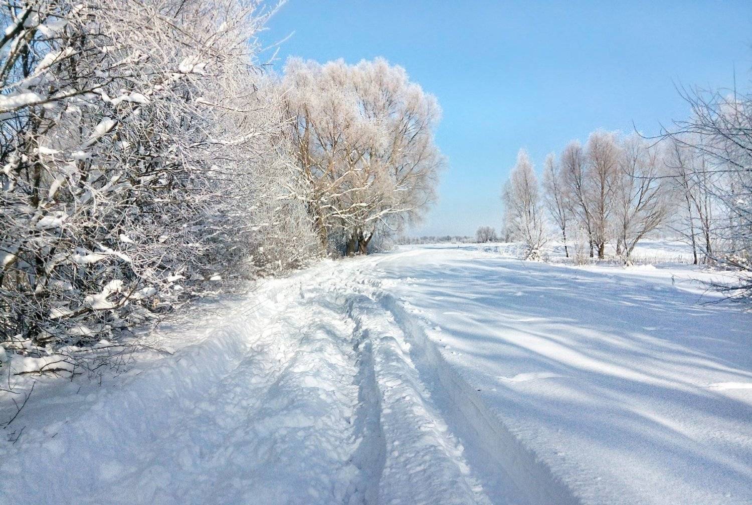 , Александр Индыло