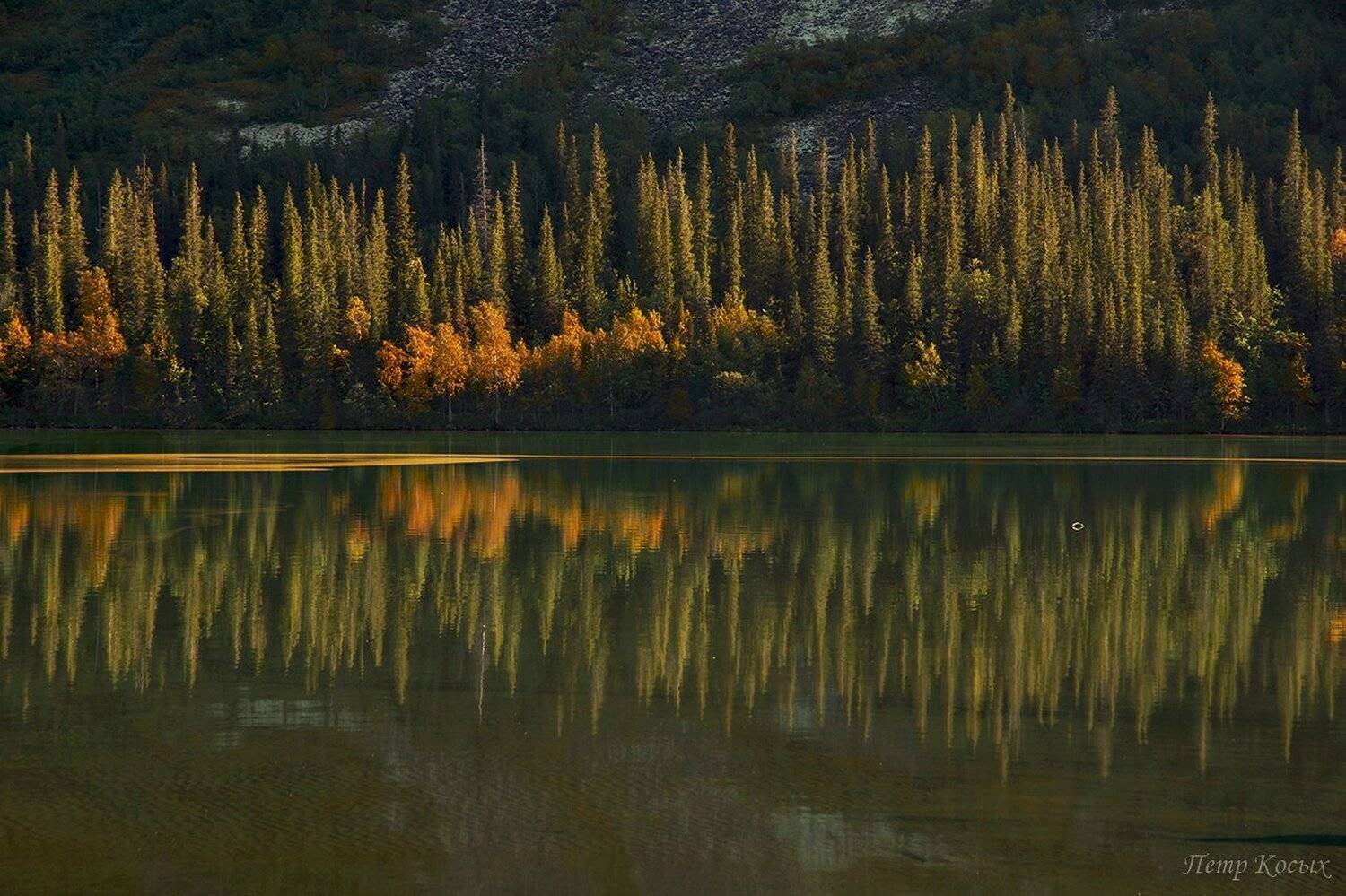 осень, сейдозеро, ловозерские, тундры, мурманская, Петр Косых
