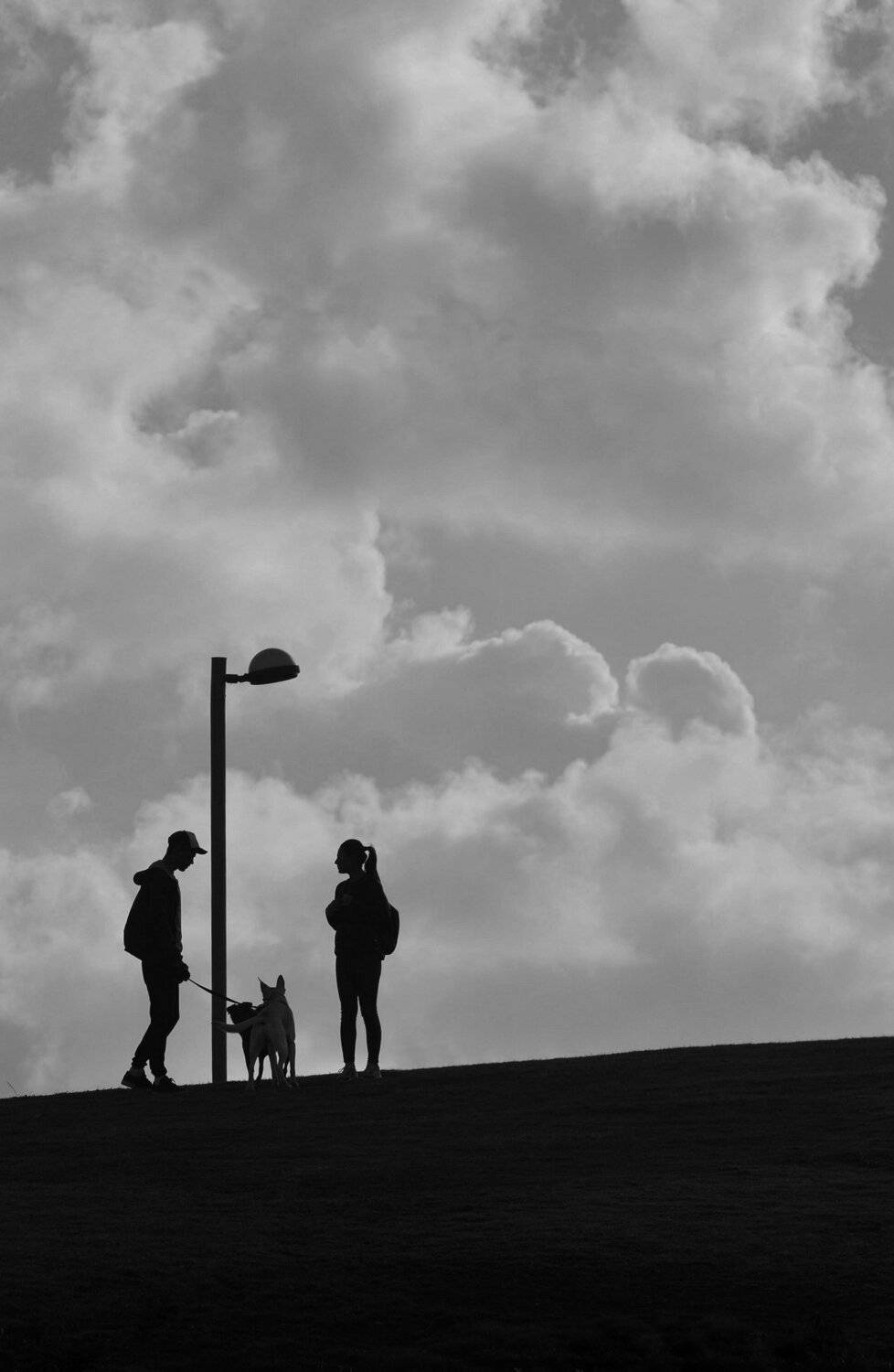 silhouette b&w, vladimir algazin