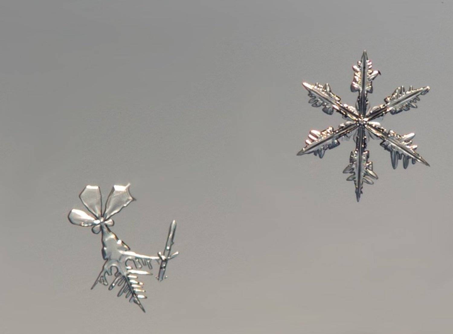 , Сергей Корнильев