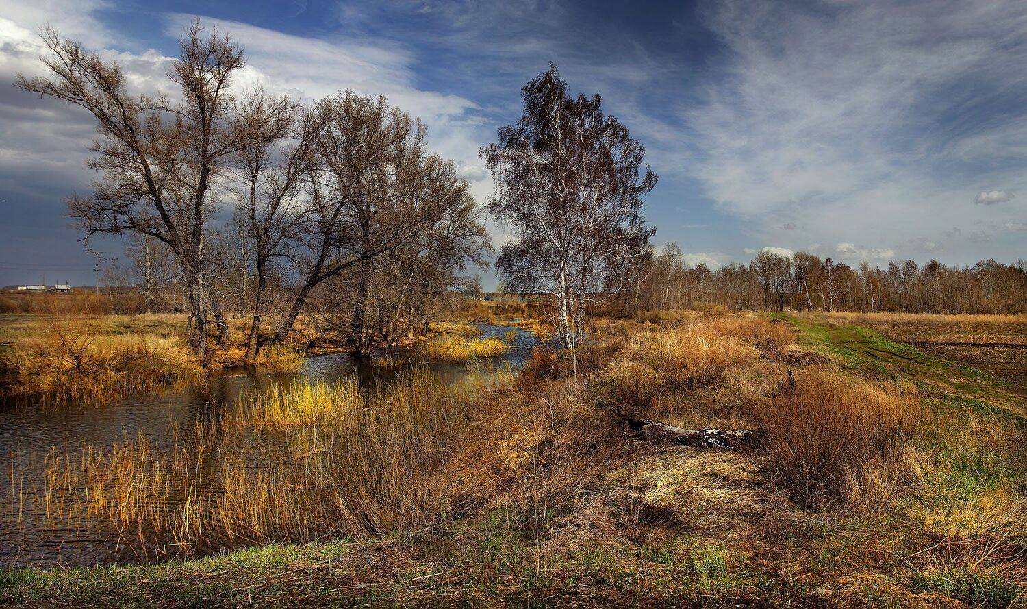 , Бусыгин Борис