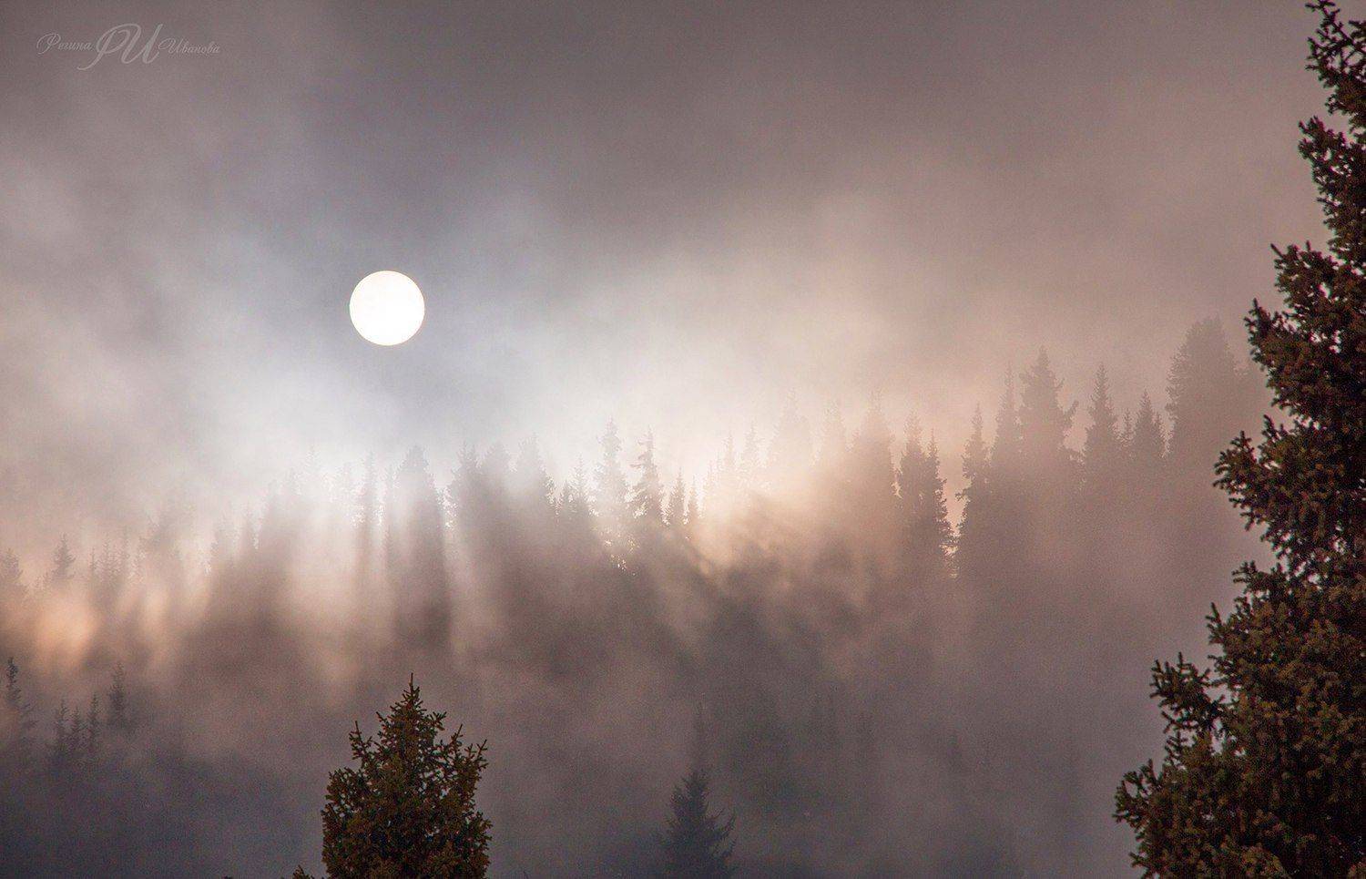 , Иванова Регина