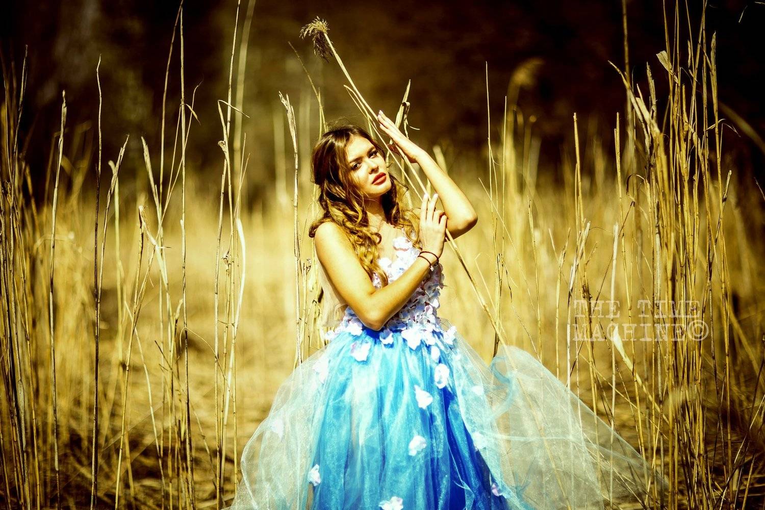 #михаилшестаков #фотографмихаилшестаков #thetimemachine   #thetimemachinephotography #autor2013 портрет, Михаил Бове