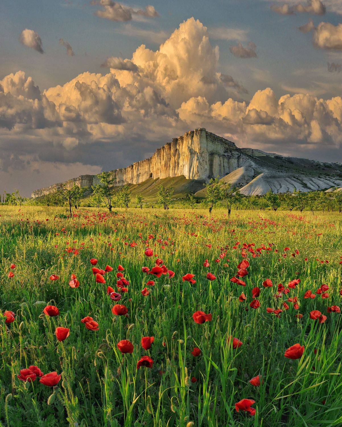 Фототуры с Владимиром Рябковым, маки Крыма, пейзажи Крыма, майский Крым., Владимир Рябков